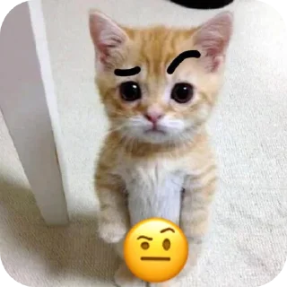 🐱 emoji Ghea punyaa yg nyolong bacok Telegram sticker 14 of 45