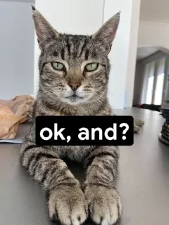🙆 emoji Pussy Cat by  「 @OWNER_OF_S0UL 」 Telegram sticker 17 of 22