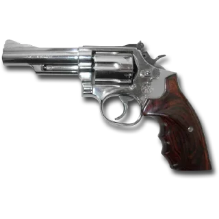 Sticker from Guns & Rifles @PunjabiSticker