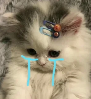 😢 emoji Punya iraa @irasqrl Telegram sticker 14 of 14