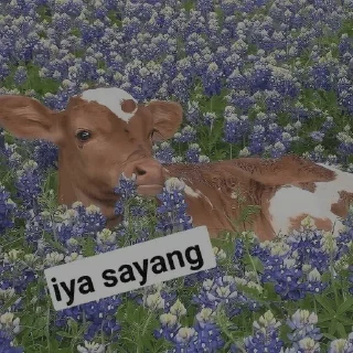 😘 emoji @hihuhoho sapiku🐮🐮 Telegram sticker 21 of 29