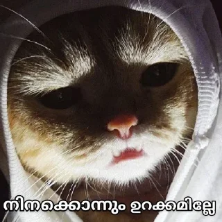 😂 emoji @WARGOD_DK Vol.12 Telegram sticker 19 of 120