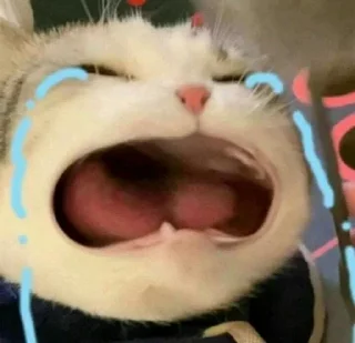 🥺 emoji pack by Telegram sticker 7 of 30