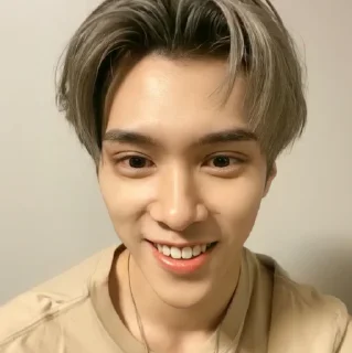🐿 emoji ◡̈ hendery – @stickernct Telegram sticker 7 of 35