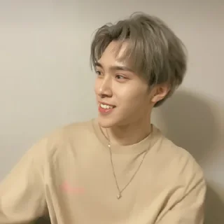 🐿 emoji ◡̈ hendery – @stickernct Telegram sticker 17 of 35