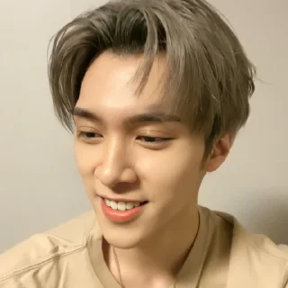 Sticker from ◡̈ hendery – @stickernct