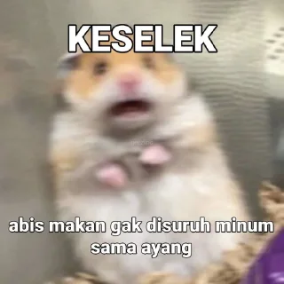 Sticker from meme ayang @.chittaponlei