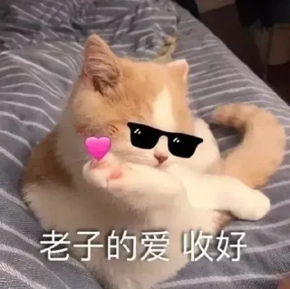 😙 emoji 七喜国际 @c07999 Telegram sticker 8 of 50