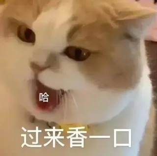 😆 emoji 七喜国际 @c07999 Telegram sticker 13 of 50