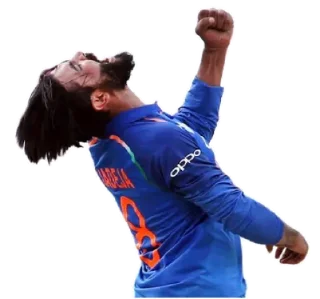 🥳 emoji Cricket @CricketStickerz Telegram sticker 7 of 13