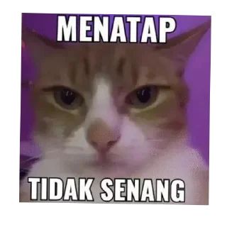 🤲 emoji indo meme :: @zoepasoup Telegram sticker 24 of 95