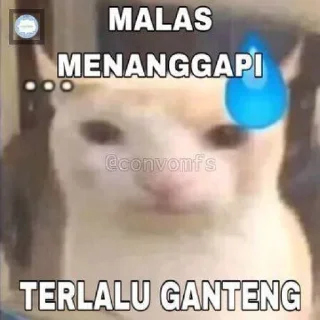 Sticker from rawr