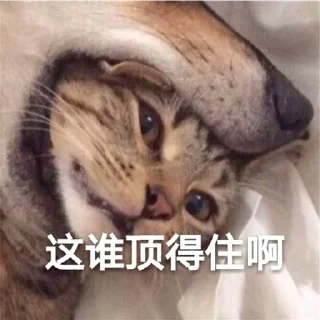 Sticker from 来自有格