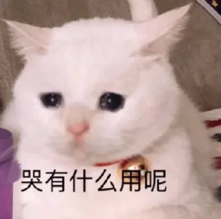 😂 emoji 来自有格 Telegram sticker 8 of 120