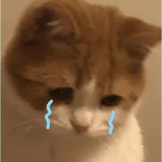 😭 emoji Hehe :: @JaldiWhaSeHatooo @fStikBot Telegram sticker 13 of 40