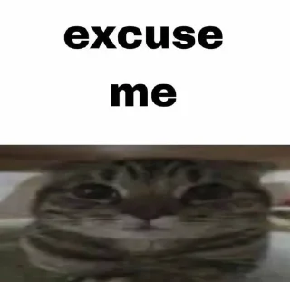 🌟 emoji cally's mood by @chaeyounglue Telegram sticker 18 of 46