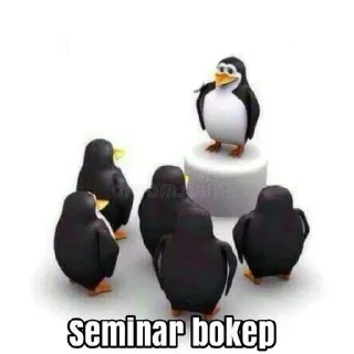 🌟 emoji Peguin bokep Telegram sticker 15 of 52