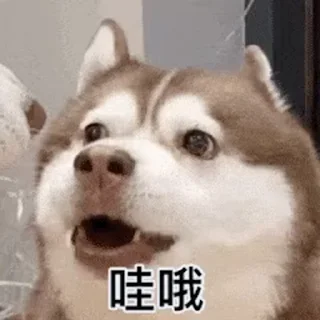 😶‍🌫️ emoji 华人交流 @PG528 Telegram sticker 12 of 35