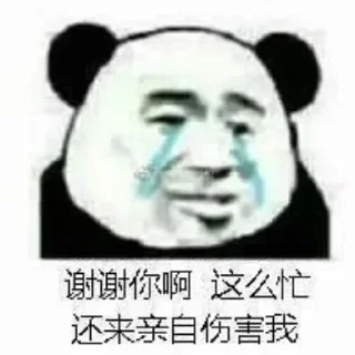 👱‍♂️ emoji 菠菜圈技术交流群 @dcjituan Telegram sticker 23 of 116