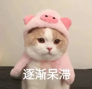 👀 emoji @leeshunsheng 的私藏 (6) Telegram sticker 6 of 109