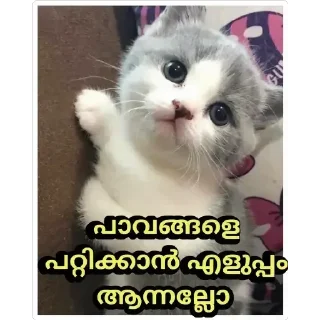 😥 emoji @ok_bie_bot Vol.2 Telegram sticker 8 of 90
