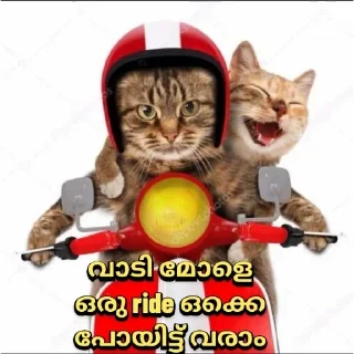 🏃 emoji @Ok_bie_bot Vol.2 Telegram sticker 21 of 63