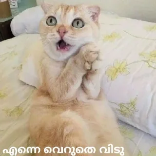 😂 emoji @ok_bie_bot Vol.2 Telegram sticker 24 of 90