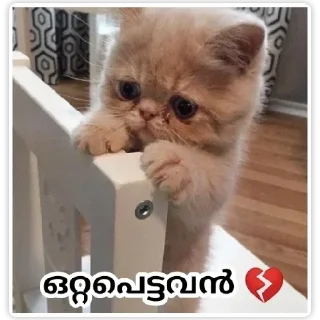 🥺 emoji @ok_bie_bot Vol.2 Telegram sticker 13 of 90