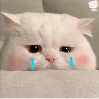 😅 emoji 芋圆 Telegram sticker 11 of 120
