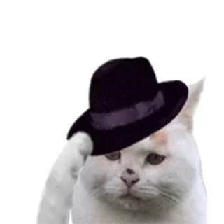 🥰 emoji 定制表情包 @sudabb7 Telegram sticker 19 of 50