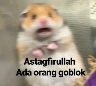 🙈 emoji Randomnya Pipiii (@apasiidih) Telegram sticker 7 of 120