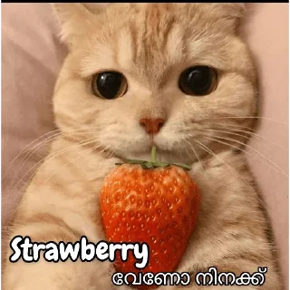 😜 emoji @Angel_Sweetie_Pie1 Vol.1 Telegram sticker 16 of 120