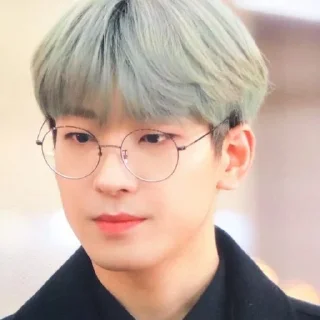Sticker from ` wonwoo unfilt  —  @asteringall  🌻