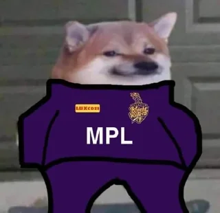 💜 emoji IPL - @cricketpissonews Telegram sticker 8 of 64