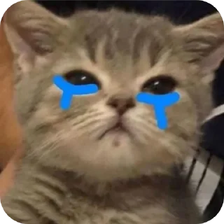 😭 emoji didi punyaa😠 Telegram sticker 20 of 58