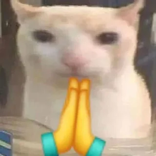 🙏 emoji Random Coeg Telegram sticker 16 of 16