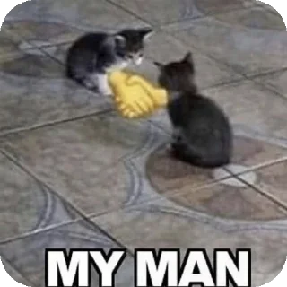 🤝 emoji Random memes @LarryGosling Telegram sticker 14 of 106