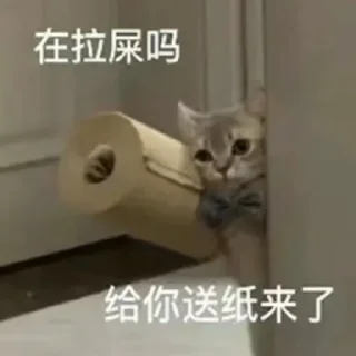 💩 emoji 可爱猫猫-@maoSMS Telegram sticker 20 of 90