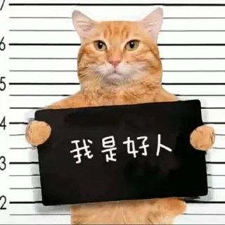 🐱 emoji 大护法的喵 Telegram sticker 16 of 119