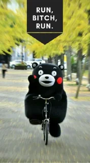 🚴‍♂️ emoji Kumamon Collection Premium!
(@NekoHayashi) Telegram sticker 24 of 26