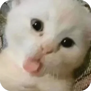 🫥 emoji ah ah ah Telegram sticker 20 of 44