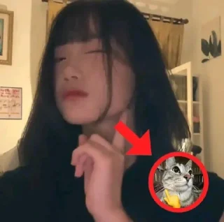 🌟 emoji jeketian @stikergifideasjkt48 Telegram sticker 15 of 41