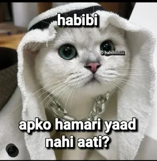 😑 emoji CAT HU - @STICKERS_TOWN Telegram sticker 15 of 114