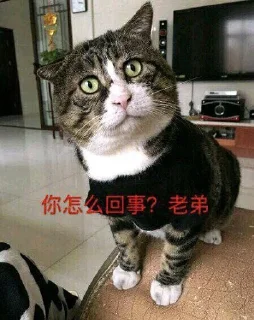 😾 emoji Sewerfarm 02 Telegram sticker 5 of 39
