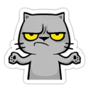 🤷‍♂ emoji Kucing Meow Meow Telegram sticker 22 of 120