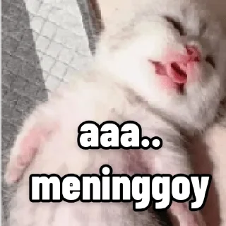 🖤 emoji random ae sih Telegram sticker 18 of 40