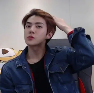 👍 emoji Sehun Telegram sticker 13 of 31