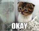 😭 emoji Funny Cat Telegram sticker 9 of 79
