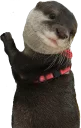 🤚 emoji Cute Otter Telegram sticker 2 of 120