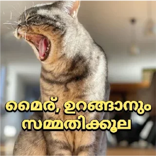 😒 emoji @Ok_bie_bot Vol.8 Telegram sticker 16 of 120